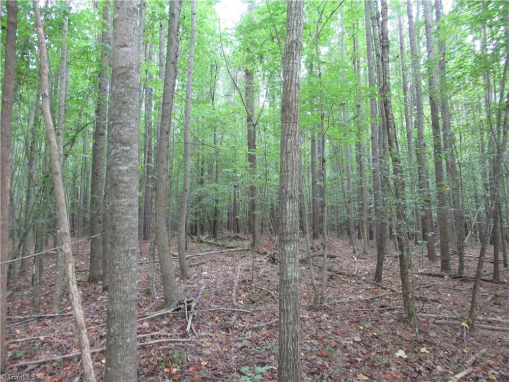 2643 Roberts Chapel Road Goldston, NC 27252