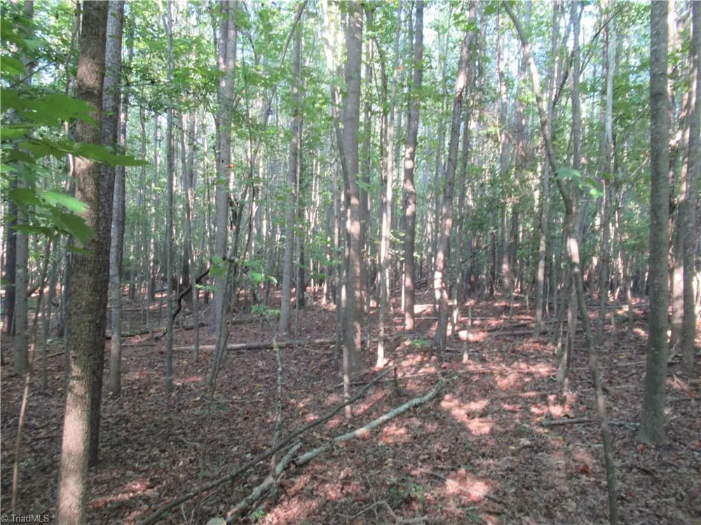 2643 Roberts Chapel Road Goldston, NC 27252
