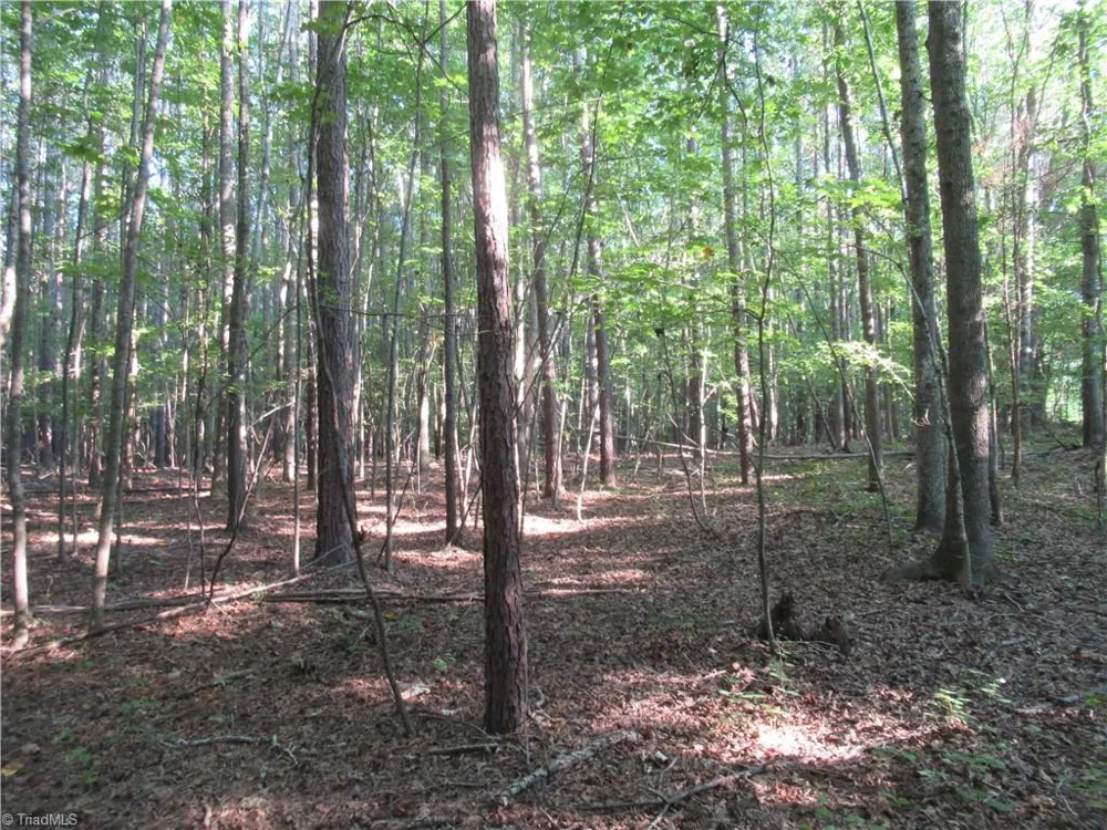 2643 Roberts Chapel Road Goldston, NC 27252