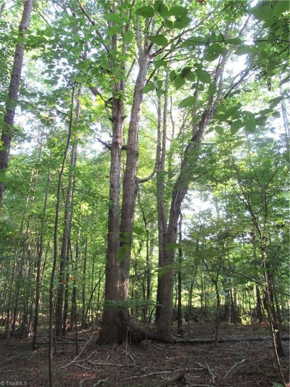 2643 Roberts Chapel Road Goldston, NC 27252