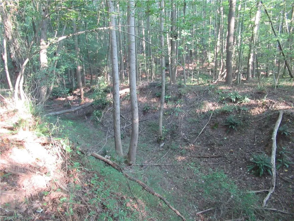 2643 Roberts Chapel Road Goldston, NC 27252