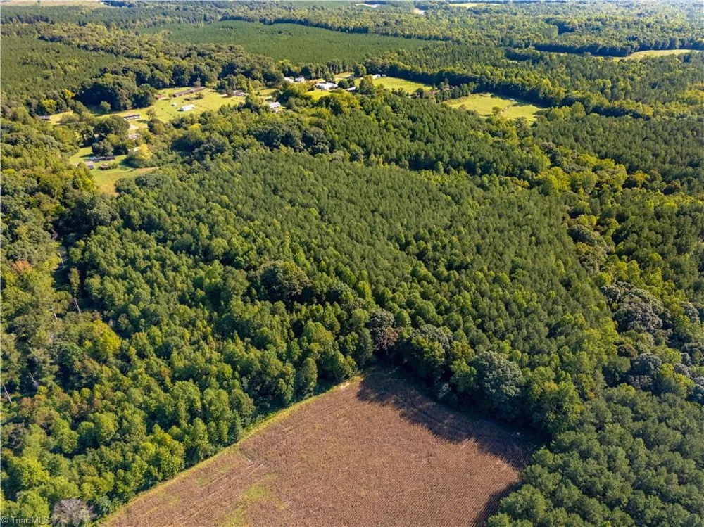 2643 Roberts Chapel Road Goldston, NC 27252