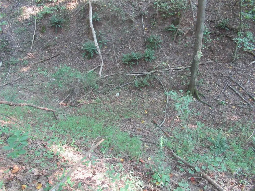 2643 Roberts Chapel Road Goldston, NC 27252