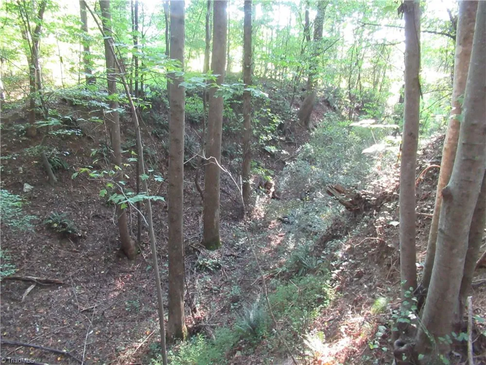 2643 Roberts Chapel Road Goldston, NC 27252