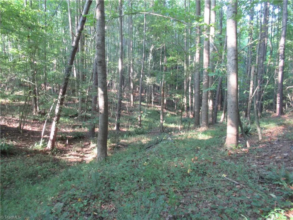 2643 Roberts Chapel Road Goldston, NC 27252