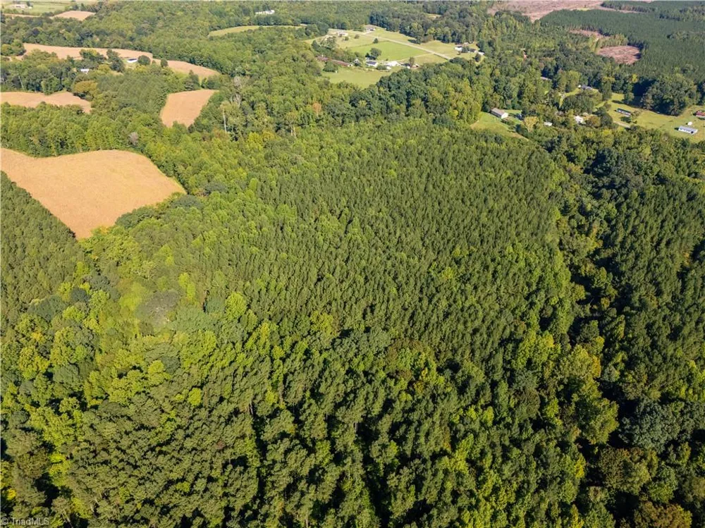2643 Roberts Chapel Road Goldston, NC 27252