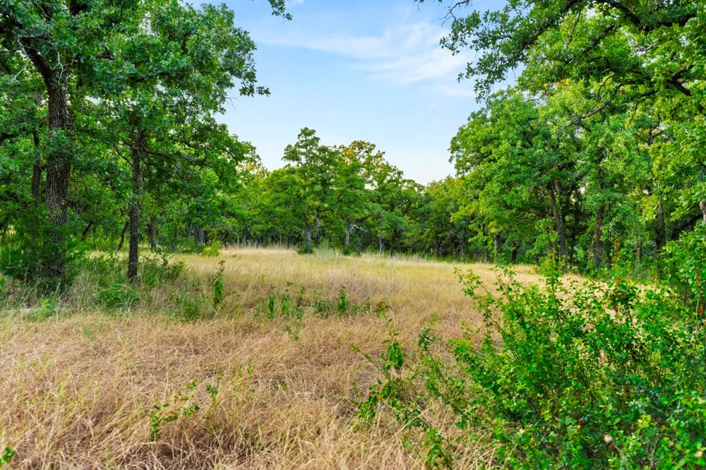 Highway 31 Axtell, TX 76624