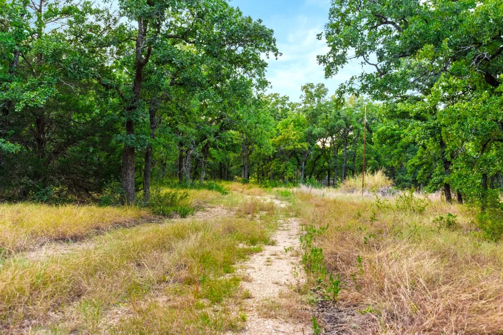 Highway 31 Axtell, TX 76624