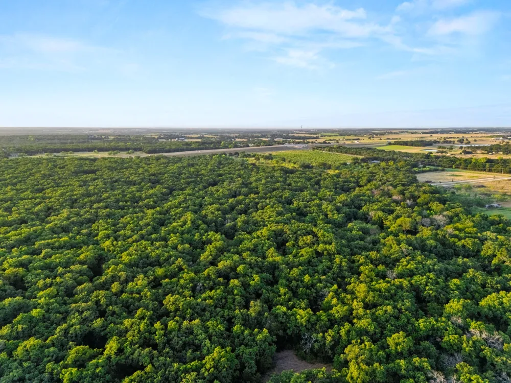 Highway 31 Axtell, TX 76624