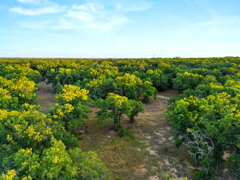 Highway 31 Axtell, TX 76624