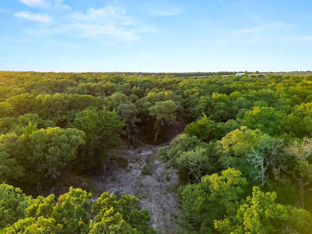 Highway 31 Axtell, TX 76624