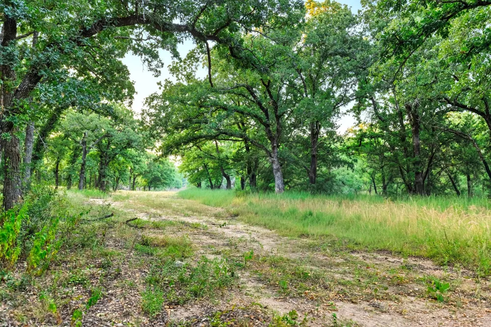 Highway 31 Axtell, TX 76624