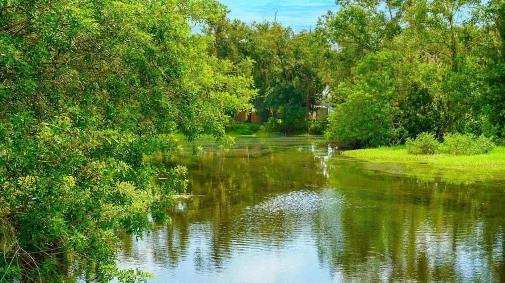 18916 GERACI ROAD Lutz, FL 33548
