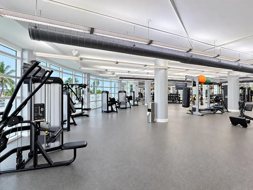 244 BISCAYNE BOULEVARD #3005 Miami, FL 33132