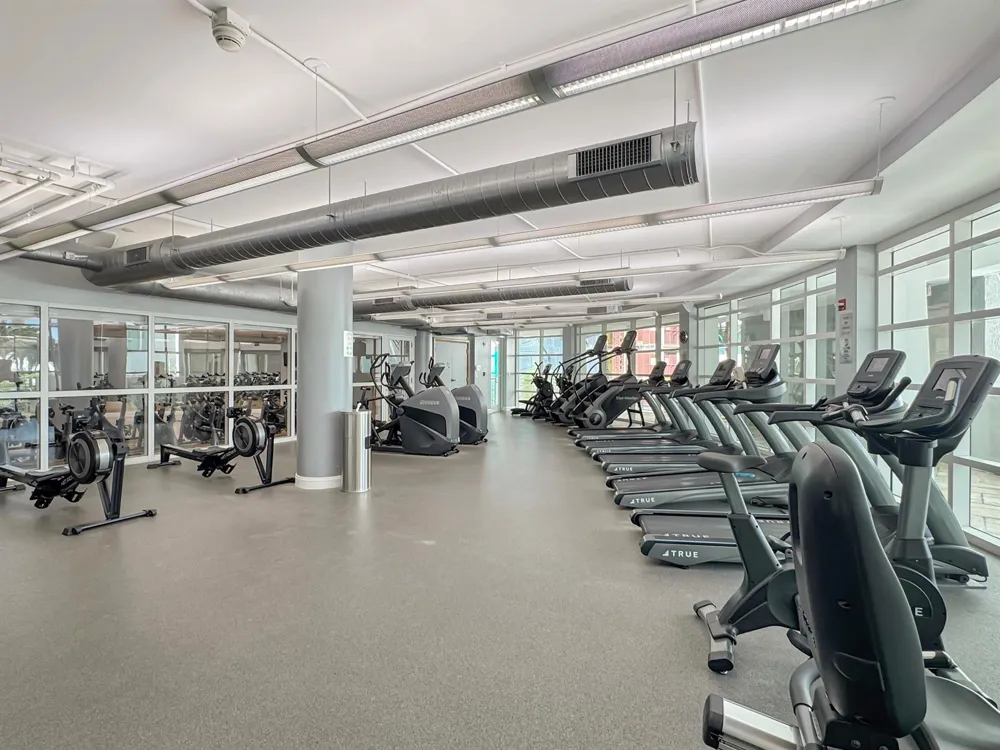 244 BISCAYNE BOULEVARD #3005 Miami, FL 33132