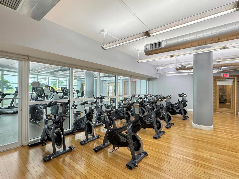 244 BISCAYNE BOULEVARD #3005 Miami, FL 33132