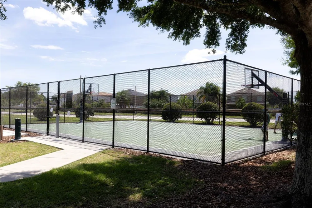 10633 STANDING STONE DRIVE Wimauma, FL 33598