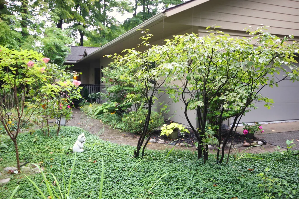 12055 S Woodwinds Circle Elmwood Charter Township, MI 49684