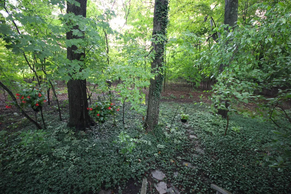 12055 S Woodwinds Circle Elmwood Charter Township, MI 49684