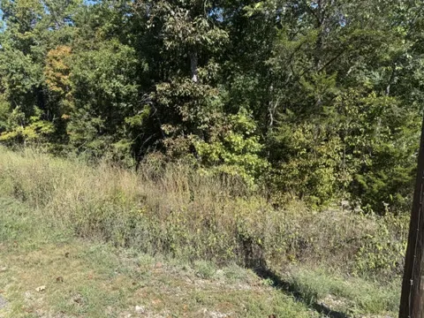 80 Wild Turkey Drive
