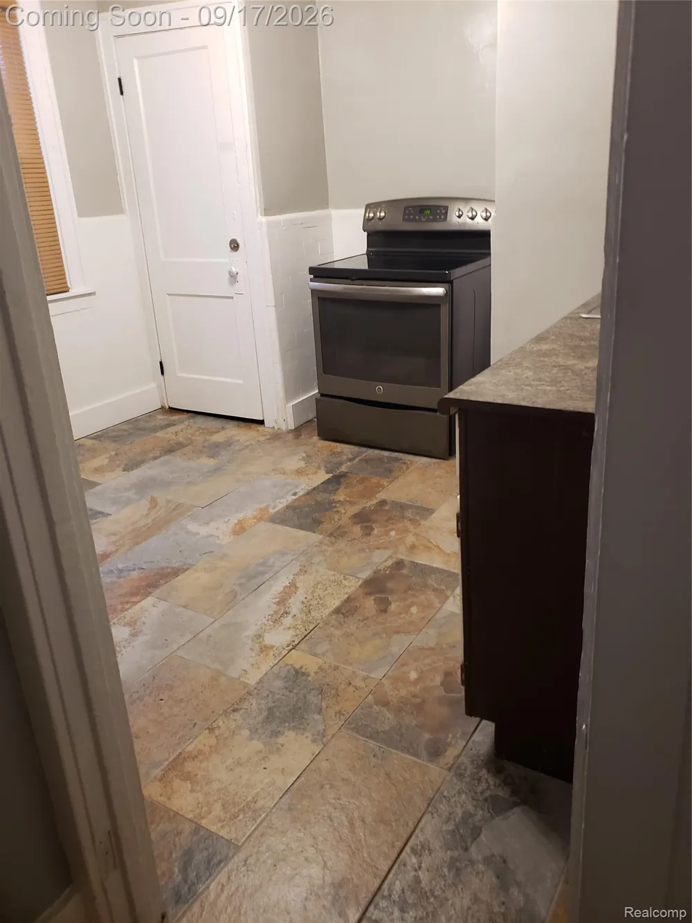 15381 Prairie Street Detroit City, MI 48238