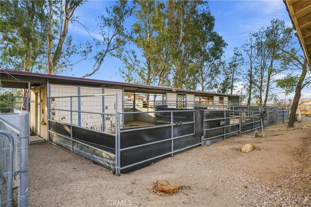 10431 Tussing Ranch Court Apple Valley, CA 92308