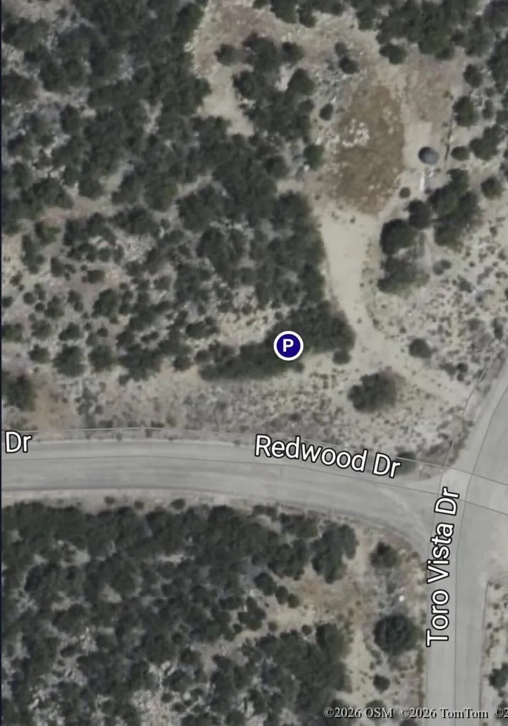Redwood Drive Mountain Center, CA 92561
