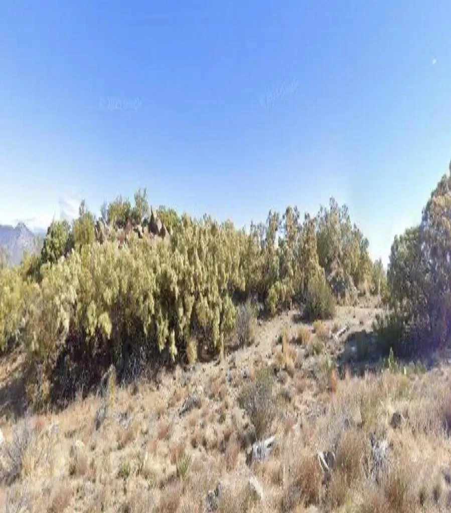 Redwood Drive Mountain Center, CA 92561