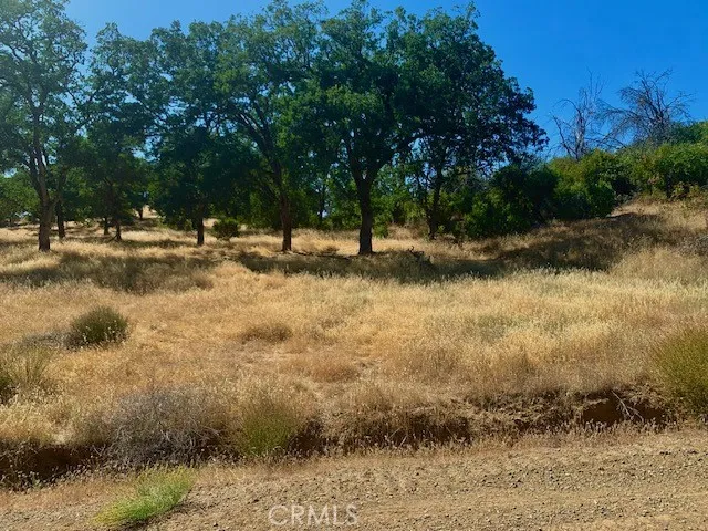 10455 Sky High Ridge Lower Lake, CA 95457