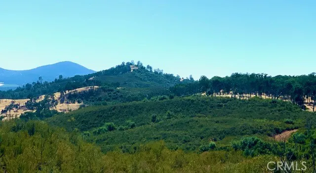 10455 Sky High Ridge Lower Lake, CA 95457