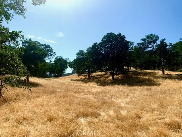 10455 Sky High Ridge Lower Lake, CA 95457