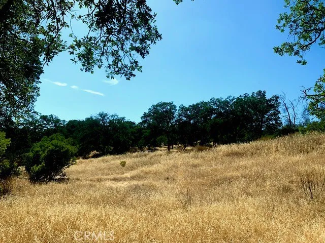10455 Sky High Ridge Lower Lake, CA 95457