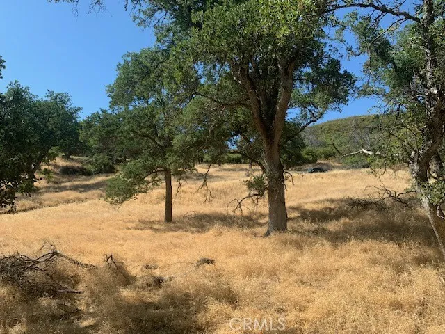 10455 Sky High Ridge Lower Lake, CA 95457