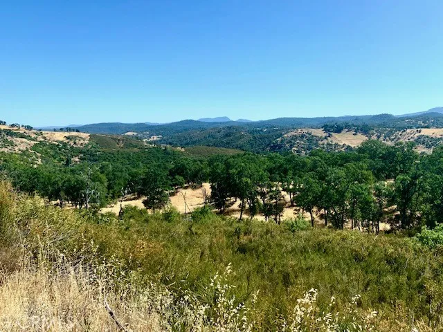 10455 Sky High Ridge Lower Lake, CA 95457