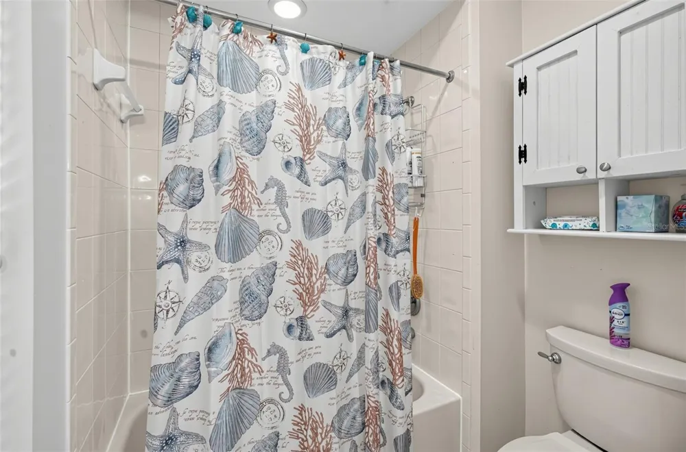 9108 WOODRIDGE RUN DRIVE Tampa, FL 33647