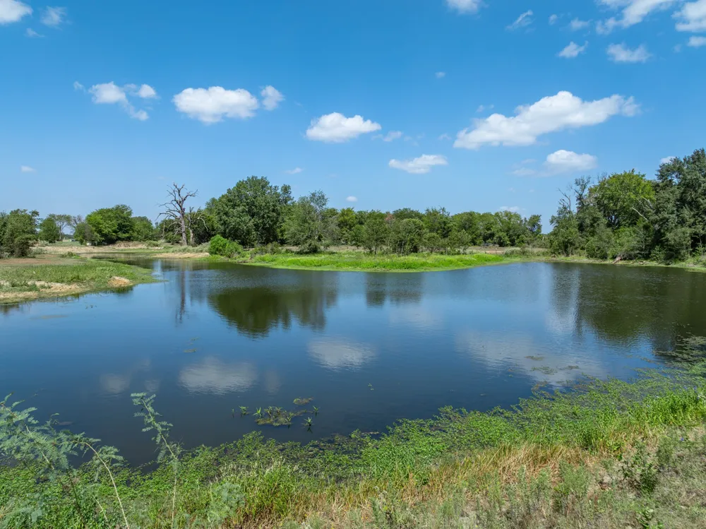9488 Fm 937 Thornton, TX 77865
