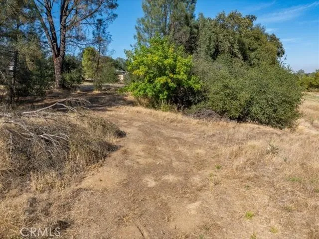 15220 China Rapids Drive Red Bluff, CA 96080