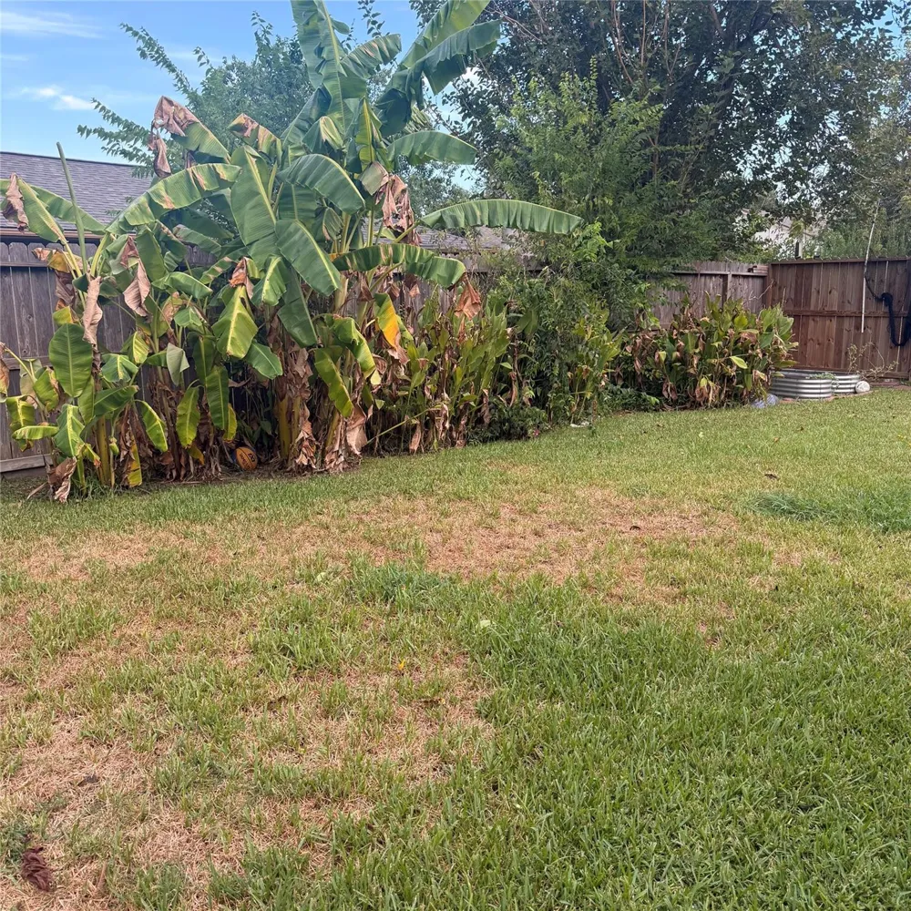 2114 Fountain Drive Sugar Land, TX 77478
