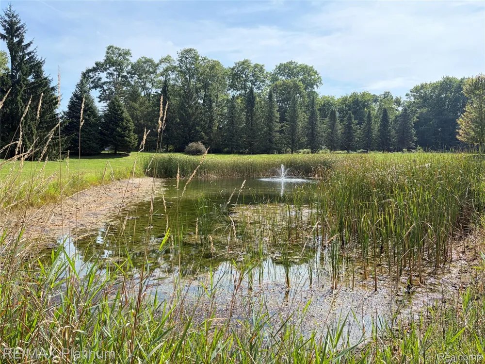 7996 Kearney Road Northfield Township, MI 48189