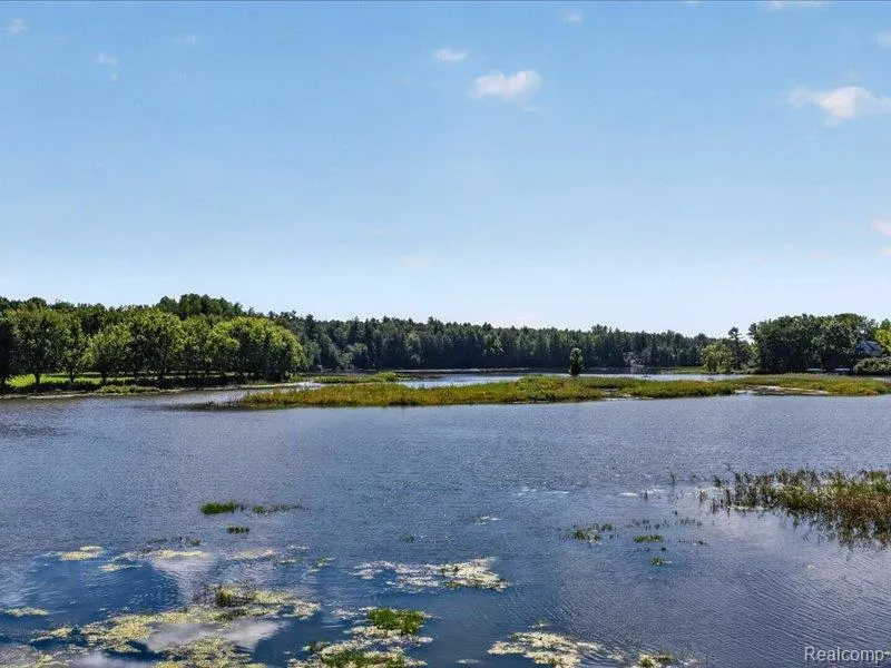 5994 Lake Sanford Road Edenville Township, MI 48657