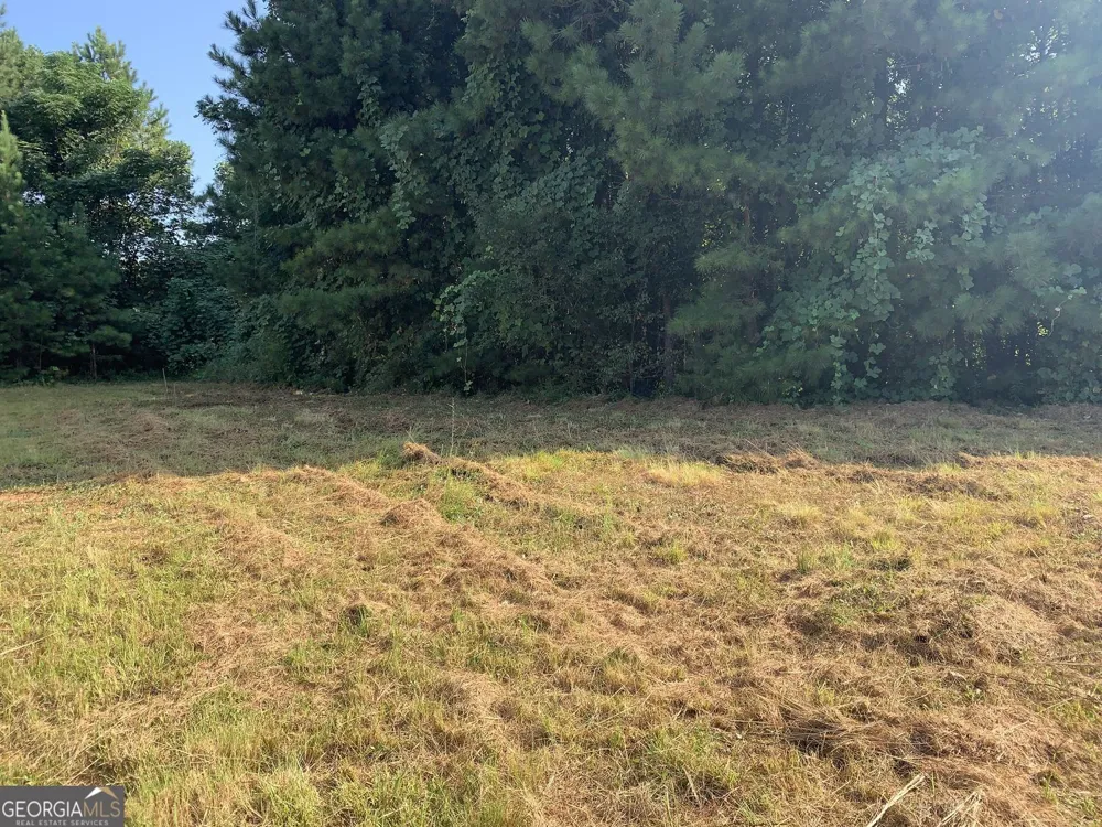 604 Tahoe TRL Stockbridge, GA 30281