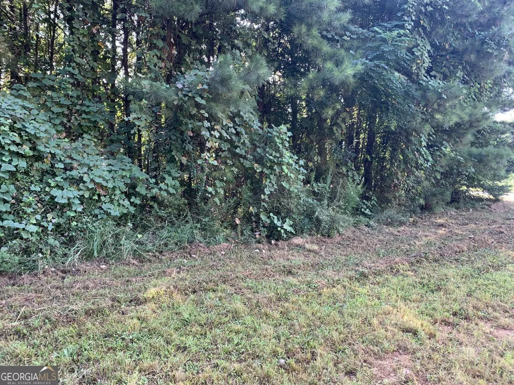 604 Tahoe TRL Stockbridge, GA 30281