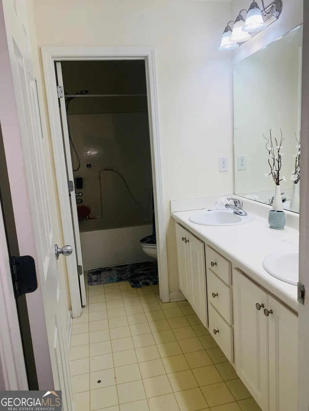 1129 River Tusk PL NE Conyers, GA 30012