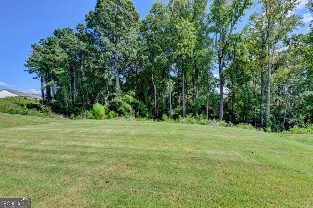 295 Conway TRL Hoschton, GA 30548