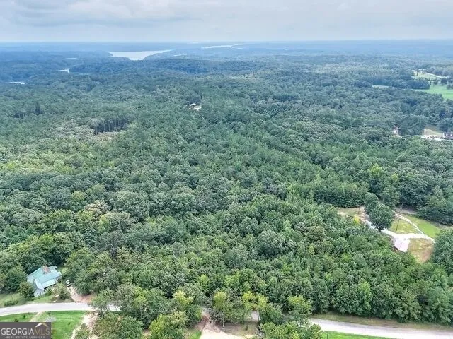 0 Pickens Pointe DR Elberton, GA 30635