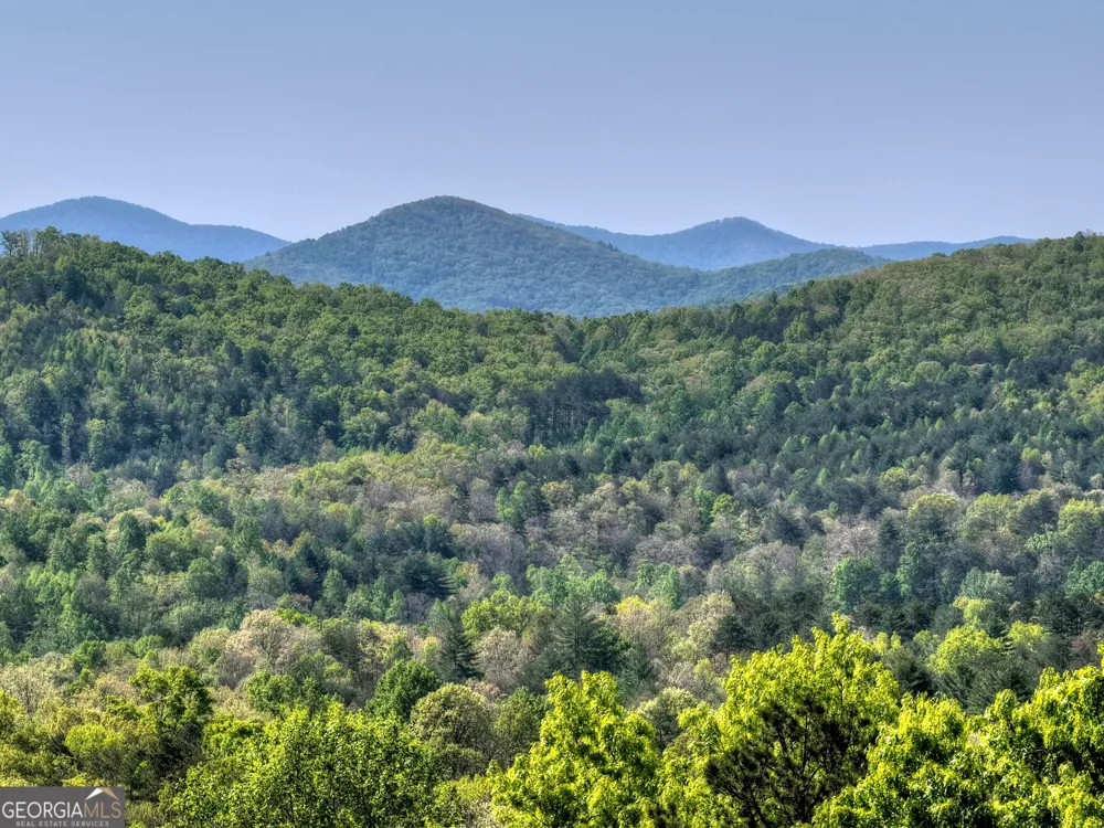 769 Voylestown RD Morganton, GA 30560