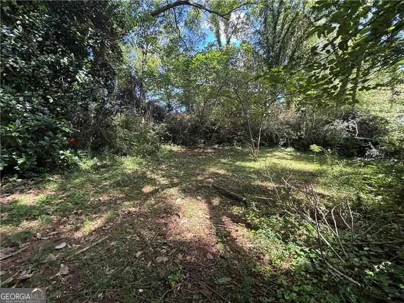 232 Main ST E Dahlonega, GA 30533
