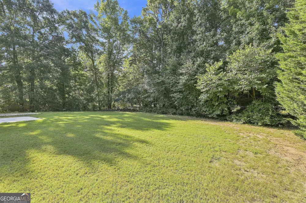 80 Savannah DR Senoia, GA 30276