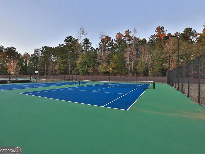 80 Savannah DR Senoia, GA 30276