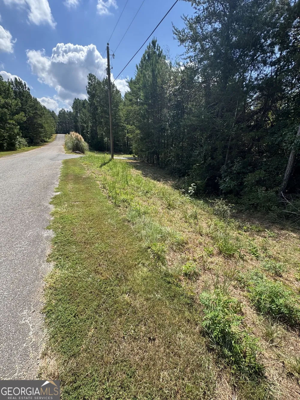 0 Omaha DR Elberton, GA 30635